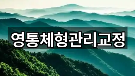 영통체형관리교정