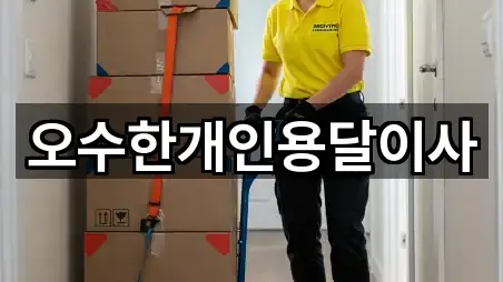 오수한개인용달이사