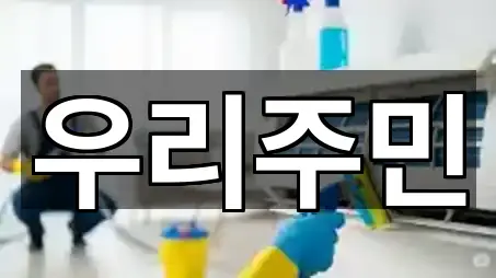 강원특별자치도 정선군 사북읍 청소 5곳 주변 한눈에