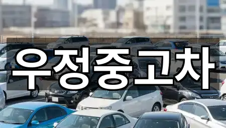 즉시 주소: 경기 고양시 일산동구 문봉동 중고차 5곳