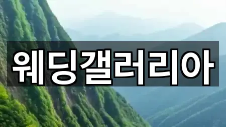 웨딩갤러리아