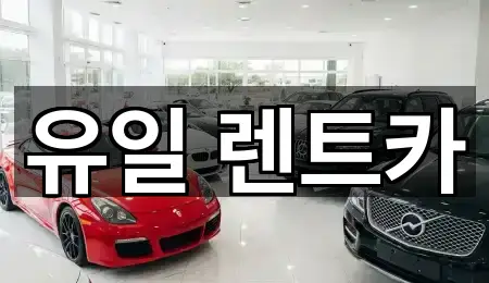비산동렌트카 새로 추가 5곳