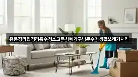 유품정리집정리특수청소고독사폐가구방문수거생활쓰레기처리