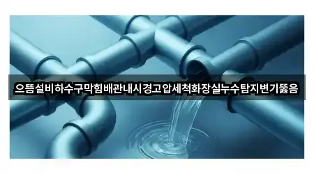 으뜸설비하수구막힘배관내시경고압세척화장실누수탐지변기뚫음