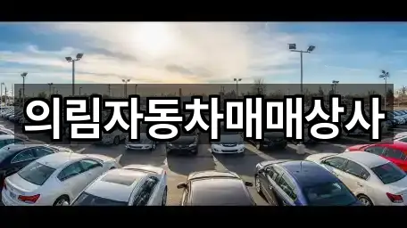 주변 강원 영월군 산솔면 중고차 5곳 위치