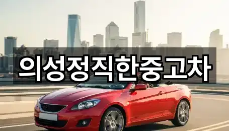 경북 의성군 안사면 중고차 사진 보기 1건