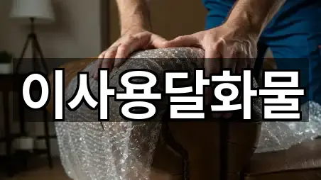 연락 한 번에: 대덕구 연축동 이사 5곳