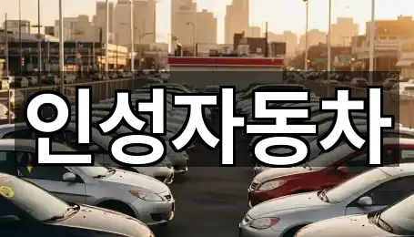제주 이호일동 중고차 5곳 지도 링크 모음