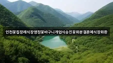 인천꽃집장례식장영정꽃바구니개업식승진꽃화분결혼예식장화환