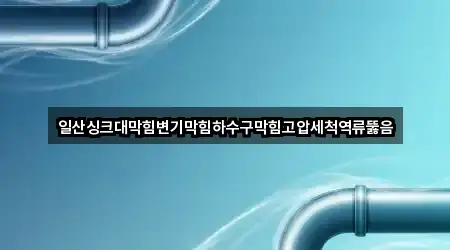 일산싱크대막힘변기막힘하수구막힘고압세척역류뚫음