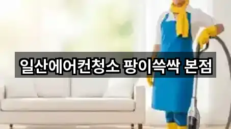 일산에어컨청소 팡이쓱싹 본점