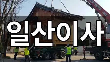 고양시 주교동이사 실시간 상담 5곳