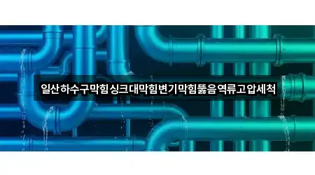 일산하수구막힘싱크대막힘변기막힘뚫음역류고압세척