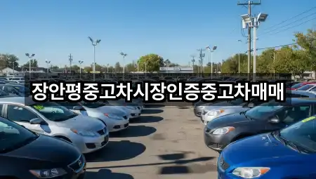 장안평중고차시장인증중고차매매