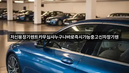 유성구 안산동장기렌트카 연락처 모음 1건