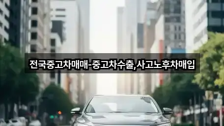 전라남도 순천시 행동 중고차 심야 운영 5곳