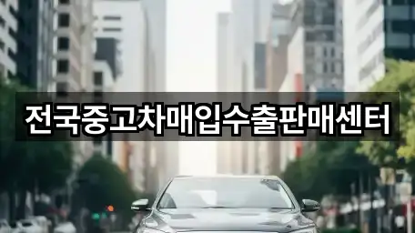 창원 마산합포구 두월동2가 중고차 모아보기 4곳