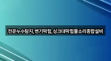 요약 | 경기도 포천시 내촌면 변기막힘 5곳