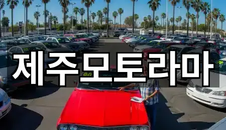 주변 제주 영평동 중고차 5곳 위치 안내