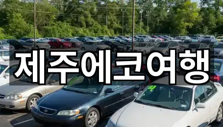 화북일동 렌트카 4곳 지도 전체 보기