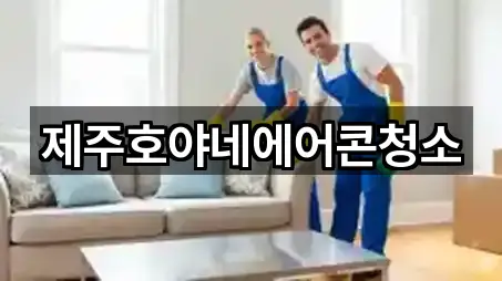 제주호야네에어콘청소