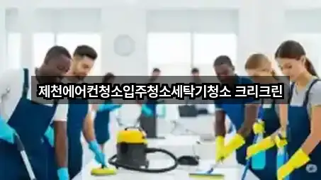 컬렉션 | 충청북도 중앙로2가 청소업체 5곳