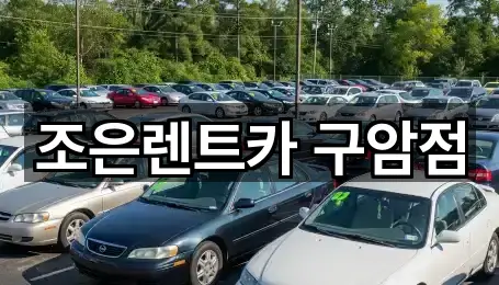 경상남도 창원시 마산회원구 구암동 렌트카 찾기 쉬운 5곳
