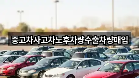 추천 충남 남동 중고차 5곳 바로가기