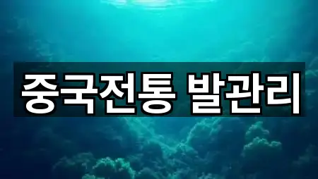 중국전통 발관리