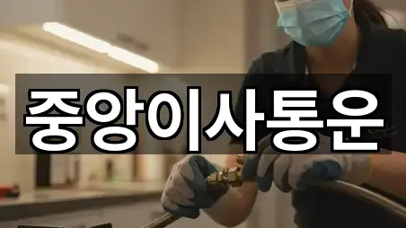 네이버지도 | 인천 중구 송학동1가 이사 5곳