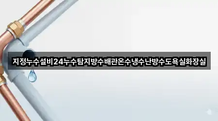 지정누수설비24누수탐지방수배관온수냉수난방수도욕실화장실
