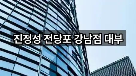 진정성 전당포 강남점 대부