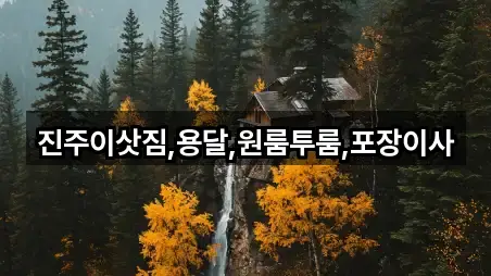 사천 동금동 포장이사 총 4곳 모음