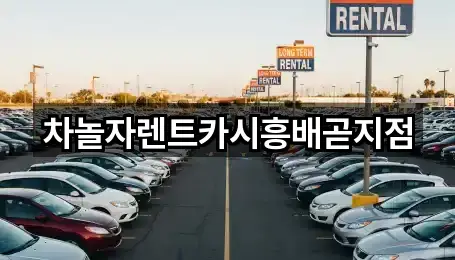 차놀자렌트카시흥배곧지점