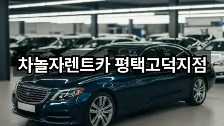 차놀자렌트카 평택고덕지점