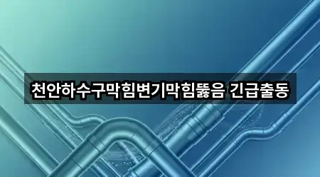 천안하수구막힘변기막힘뚫음 긴급출동