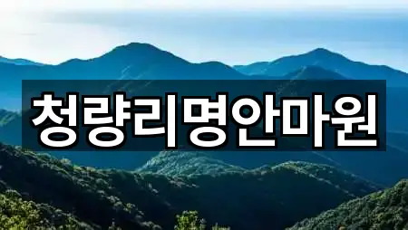 서울특별시 동대문구 마사지 5곳 원스톱 보기