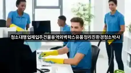 청소대행업체입주건물용역외벽왁스유품정리친환경청소박사