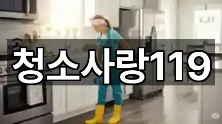 청소사랑119