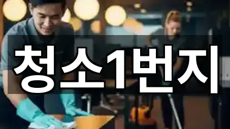 청소1번지