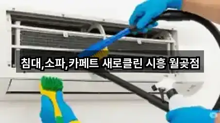 침대,소파,카페트 새로클린 시흥 월곶점