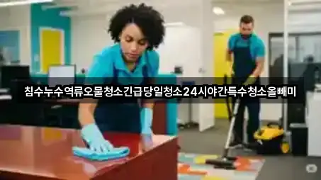 침수누수역류오물청소긴급당일청소24시야간특수청소올빼미