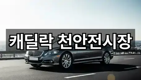 주소 링크 모음: 천안시 청수동 자동차전시장 3곳