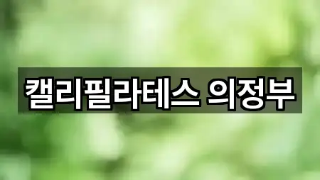 캘리필라테스 의정부