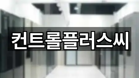 컨트롤플러스씨