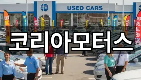 금사동중고차 5곳 요약 정리