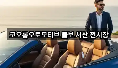 충청남도 서산시 동문동 자동차전시장 빠른 비교 2곳