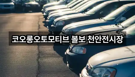 코오롱오토모티브 볼보 천안전시장