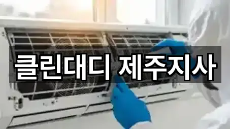 클린대디 제주지사