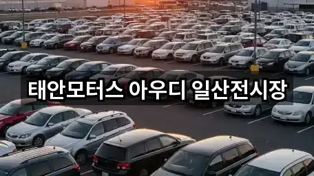 고양 덕양구 내곡동 자동차전시장 맞춤 추천 3곳